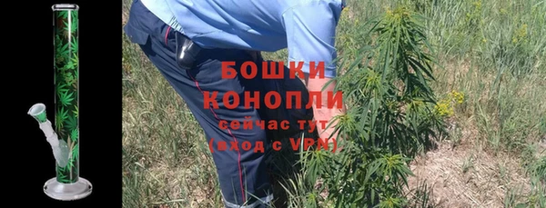 молекула духа Белокуриха