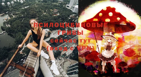 кокс Беломорск